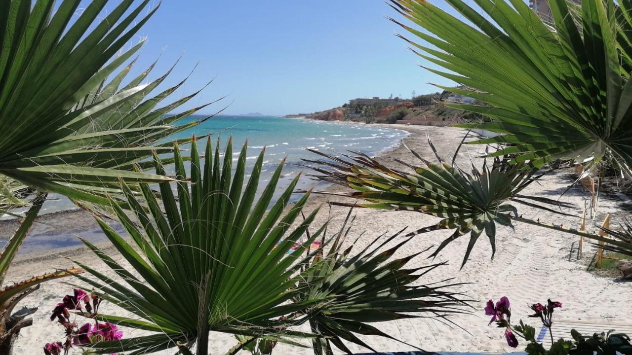 Mirador De Aguamarina Campoamor Exterior foto